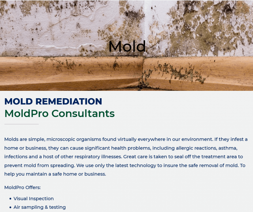 Mold Pro Consultants - Over 20 Years Experience